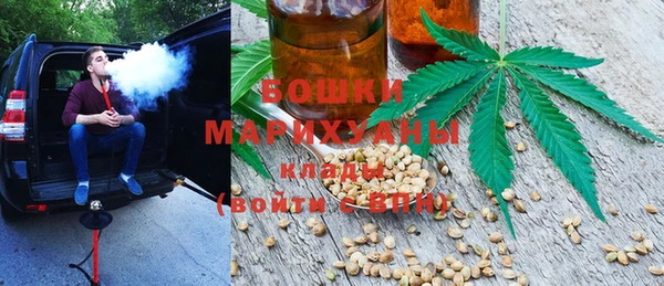 дмт Осинники
