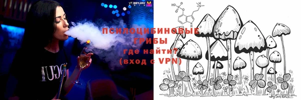 дмт Осинники