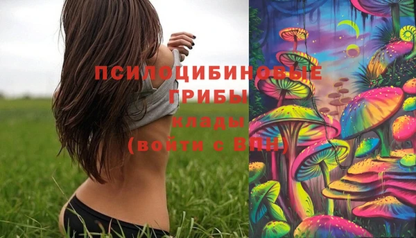 дмт Осинники