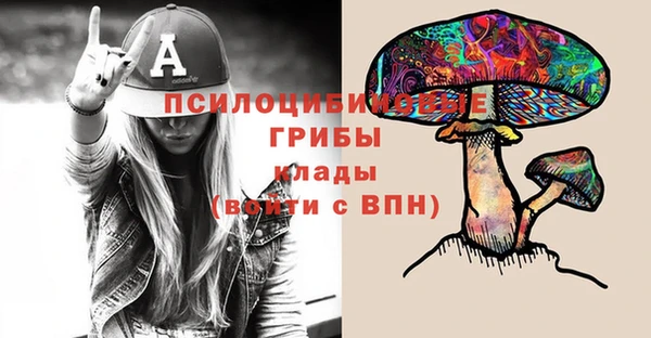 спиды Осташков