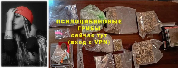 спиды Осташков