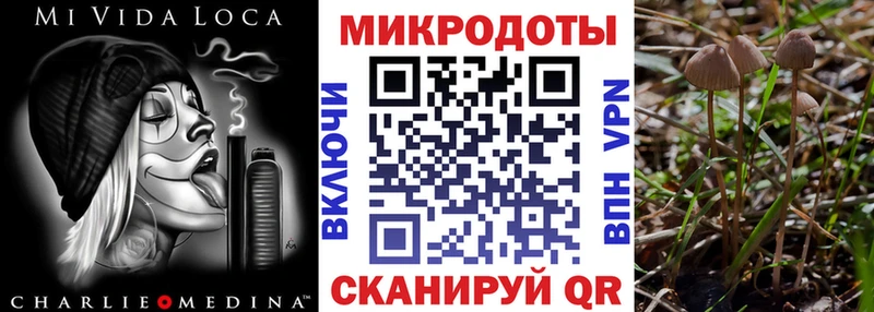 блэк спрут зеркало  Елец  Псилоцибиновые грибы Magic Shrooms 