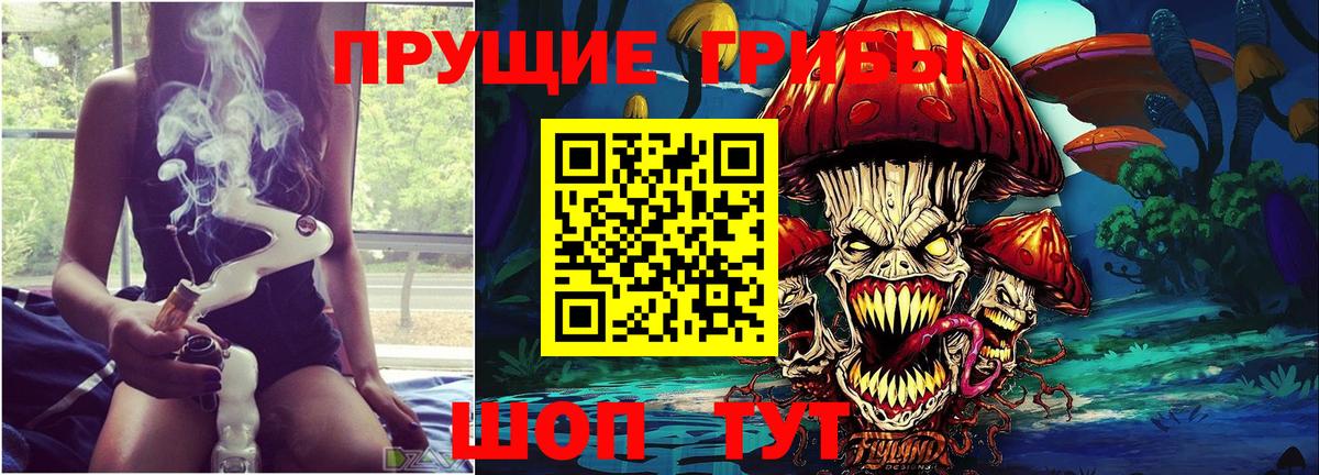 Псилоцибиновые грибы ЛСД Елец
