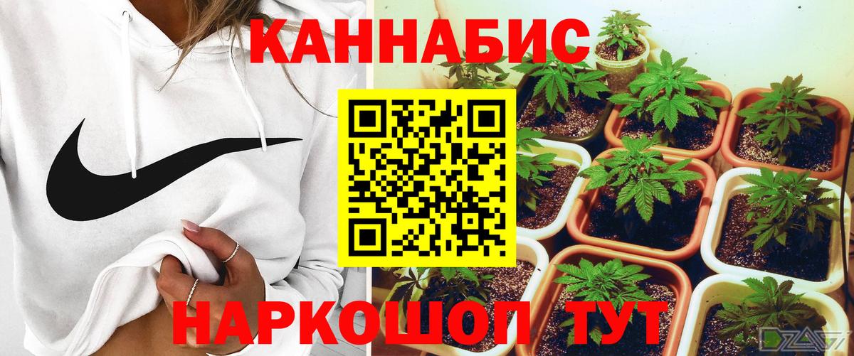 Шишки марихуана тримм  Вход с VPN  МАРИХУАНА гибрид  Елец 